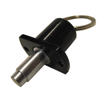 Buggy Section Release